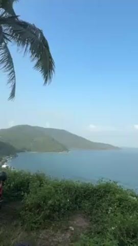 The video shows a picturesque view of a coastline on a sunny day. A palm tree branch hangs in the upper left corner of the frame, swaying slightly. Below, there's a verdant hill covered with dense vegetation. The hill slopes down to meet the ocean, which is a clear, light blue color.  The water stretches out towards a green mountain range in the distance. The sky is a brilliant blue, with a few scattered white clouds.