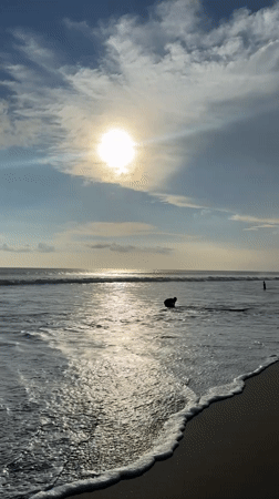 Morning beach scenes captured at Kuta surf spot