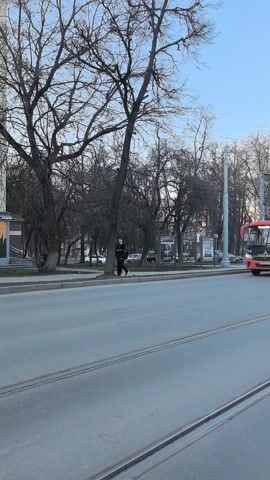 The video shows a city street with a row of bare trees along the sidewalk. The sky is bright blue. A red bus travels on the right side of the road. A black sedan passes in front of the bus going in the opposite direction. Next, a grey sedan goes by. Then a silver SUV and a dark grey pick-up truck pass going in the same direction. Tram tracks run down the middle of the street. People can be seen on the sidewalk. A bus stop sign and advertising billboards are visible on the far side of the street.