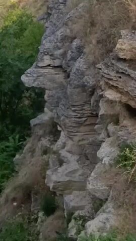 The video pans across a rocky cliff face with vegetation growing on it. The cliff has a distinct profile that resembles a face in profile. The background consists of trees and foliage, suggesting an outdoor natural environment. The lighting appears to be natural, possibly from the sun.