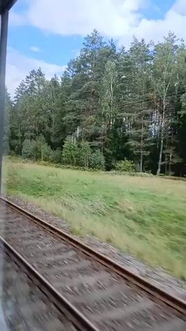 This is a first-person perspective video shot from a moving train. The camera is looking out of a window, capturing the scenery passing by. In the foreground, we see the train tracks, indicating the direction of travel. Beyond the tracks, there is a grassy field, which gradually transitions into a dense forest. The trees are a mix of deciduous and coniferous types. A clear blue sky with scattered white clouds is visible above the treeline. A utility pole with wires can be seen along the edge of the forest. The overall impression is of a journey through a rural, wooded landscape.