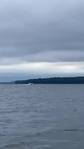 A motorboat travels across a large body of water under a cloudy sky. The boat is white and is creating a wake as it moves from left to right across the frame. The water is choppy, and there is a dark tree line visible in the distance along the far shore. The sky is overcast with layers of grey clouds.