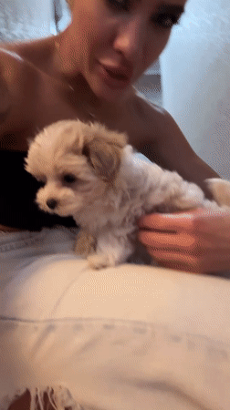 Fluffy puppy captured in playful moments with people in Sochi