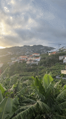 Evening views captured of Câmara de Lobos hillside community