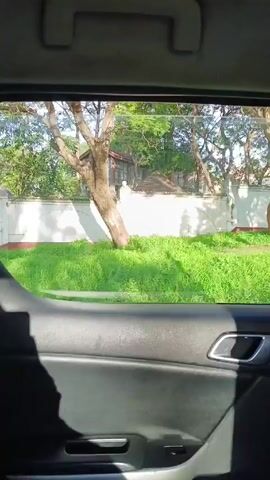 The video shows a view from the inside of a car, looking out the window. The car is moving and the camera focuses on the passing scenery. Outside, there's a green lawn and several trees in front of a white wall. A house can be partially seen behind the wall. There's also a utility pole visible with a sign. The interior of the car is visible, including the door panel and handle. The video seems to be taken during daytime under sunny conditions. The shadow of someone or something is present in the lower left corner of the frame, but it is unclear.