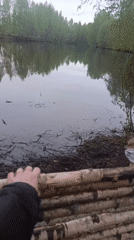 Children play on makeshift rafts at Chernogolovka lake