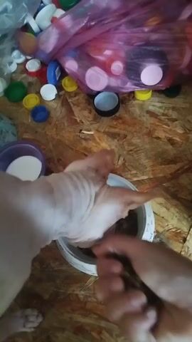 A close-up shot captures a person's hand reaching into a white bowl filled with cat food. A bald cat, likely a Sphynx, is present, with its head turned towards the bowl. The background shows a collection of colorful bottle caps scattered on a wooden surface, with a pink plastic bag in the upper portion of the frame. The scene appears to be an indoor setting.
