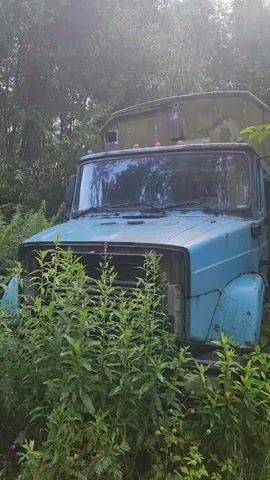 The video shows an abandoned blue truck overgrown with green plants. The truck is in a wooded area. The camera pans around the truck, showing its front, side, and back. The truck is old and appears to be in disrepair. The video is shot from a close-up perspective.