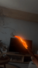 Person burns Palo Santo incense in Burgas living room