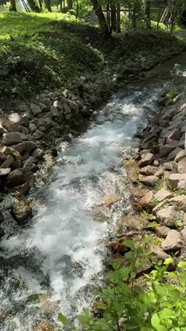 The video depicts a scenic outdoor environment with a flowing stream. The stream is bordered by rocky embankments and lush green vegetation, including trees and bushes. Sunlight filters through the trees, creating dappled patterns on the water and ground, suggesting a daytime setting, likely late morning or afternoon. The water is clear and appears to be moving at a moderate pace, with some areas of white foam indicating small rapids or turbulent spots.

The scene is tranquil and natural, conveying a sense of peace and serenity. The focus is on the movement of the water and the surrounding greenery. There are no people or significant objects visible in the frame, emphasizing the natural beauty of the location. The overall impression is one of a peaceful, natural landscape, possibly a park or a wooded area.

The timestamp in the video, "00:00" to "00:04", indicates a very short duration, capturing a brief glimpse of the stream and its surroundings. No text is visible within the video frame. The location context provided is Sdt Shcherbakovka, Russia.