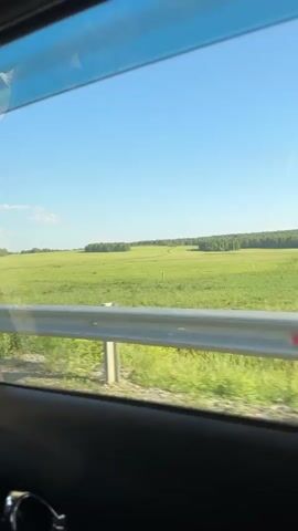 The video shows a view from inside a car looking out the window. The window is partially open, with the blue tinted top strip visible. Outside, there is a bright blue sky with a few small white clouds. The majority of the frame is filled with a vast green field that appears to be farmland or pasture. In the distance, a line of trees forms the horizon. On the left side of the frame, a white pole with a red and white directional sign, indicating a sharp left turn, is visible. The car is moving, as evidenced by the slight blur of the scenery. The interior of the car is visible at the bottom, including the dark car door and a portion of a silver door handle. The overall impression is a serene, rural landscape on a sunny day.