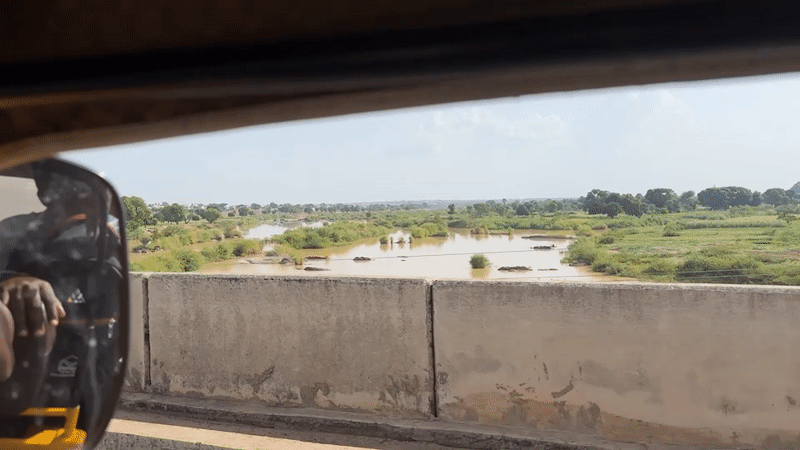 Driver records bridge view of brown river with vegetation islands