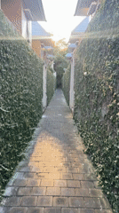 Morning walk documented through Kuta Selatan's brick pathways