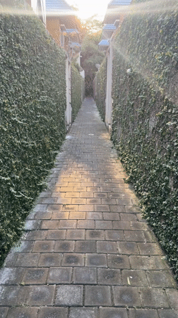 Morning walk documented through Kuta Selatan's brick pathways