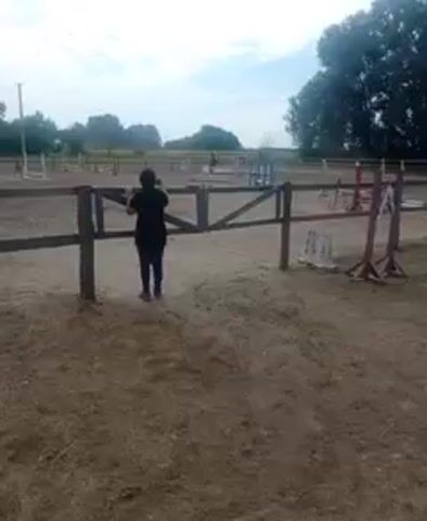 A person wearing a black shirt and black pants, and a helmet, stands with their back to the camera, looking towards a horse and rider in the distance. The person is leaning against a wooden fence that appears to be part of an equestrian arena. The arena is sandy and surrounded by more fencing and trees. There are several jumps set up in the arena. The sky is cloudy.