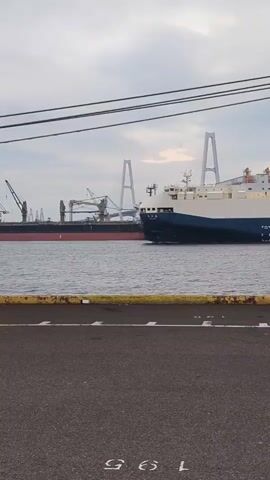 The video shows a wide shot of a harbor scene in Tokai, Japan, likely during daytime. The sky is overcast, suggesting cloudy weather. In the foreground, a section of dark asphalt pavement with yellow and white markings is visible, possibly a dock or quay.

The main subject of the video is a large car carrier ship, painted in dark blue and white, sailing on the water. The ship is moving from left to right across the frame. In the background, another large ship, appearing to be a cargo vessel, is docked or anchored, with several cranes visible around it. Further in the distance, a suspension bridge with two prominent white towers spans across the water.

The overall scene depicts a busy port environment, with large cargo ships and port infrastructure. No people are clearly visible. The atmosphere is industrial and functional, typical of a working port. No discernible text is readable in the video.