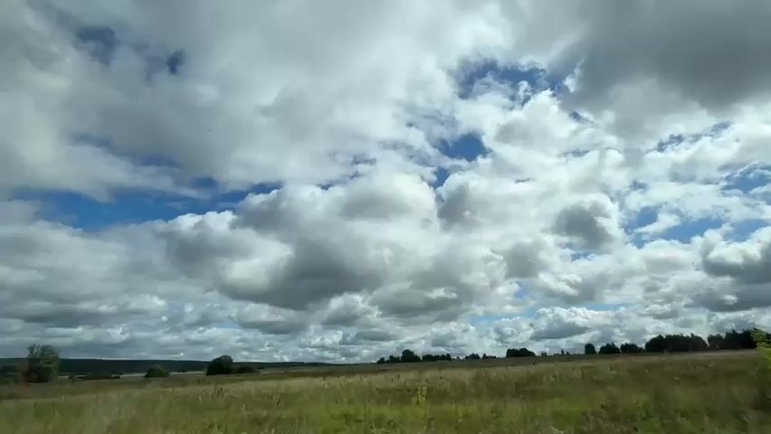 This is a wide shot of a rural landscape with a cloudy sky. The camera is moving, giving the impression of traveling through the scene. In the foreground, there is tall grass and some sparse bushes. Further in the background, there are fields and lines of trees, with a few more distant hills visible. The sky is filled with large, fluffy white clouds interspersed with patches of blue sky. The overall impression is of a bright, overcast day in a natural, undeveloped area.