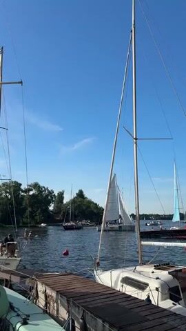 A bright, sunny day on a body of water, likely a lake or calm river, is depicted. The foreground shows a wooden dock with several sailboats moored to it. One sailboat is prominently featured in the center of the frame, its mast tall against the clear blue sky. In the background, more sailboats are visible on the water, some with sails up, suggesting a sailing event or activity. To the left, a few people are in the water, swimming or cooling off near the dock. Lush green trees line the opposite shore. The overall scene is one of leisure and outdoor recreation on a warm, pleasant day.