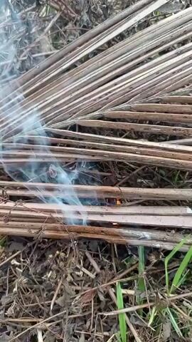 The video shows a close-up shot of a small fire burning among dried palm fronds and other dry plant debris on the ground. Smoke rises from the smoldering material. Grass is visible along the bottom edge of the frame. The scene appears to be outdoors.