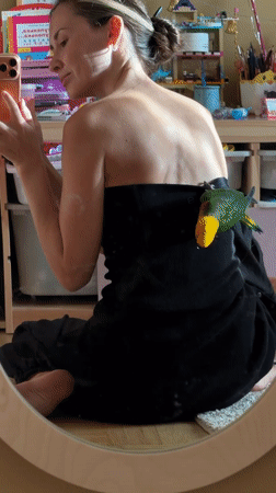 Parrot selfie and glittery dinosaur toy, Khimki apartment