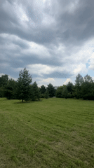 Quiet afternoon documented at Khimki park with wildlife and flowers
