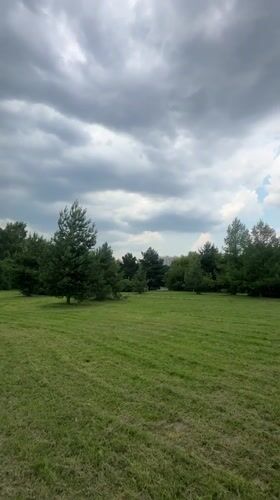 Quiet afternoon documented at Khimki park with wildlife and flowers
