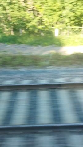 This video captures a blurred, fast-moving scene, likely from the perspective of a moving vehicle such as a train or car. The dominant colors are vibrant green and a cool blue-gray. On the left, a dense expanse of green foliage, possibly trees or bushes, rushes by. The foliage is heavily motion-blurred, suggesting rapid movement. A faint, lighter strip runs vertically through the green area, suggesting a path or a cleared space within the greenery.

To the right of the greenery, a strip of gray and darker tones appears, possibly representing the ground or a road surface. This area is also blurred but shows more texture than the foliage.

The far right of the frame is dominated by a series of vertical, parallel lines in shades of blue and gray. These lines are evenly spaced and suggest a structured object, perhaps the side of a building, a fence, or another part of the moving vehicle's exterior. The blurred nature of these lines also indicates motion.

No people or distinct objects are clearly discernible due to the blur. The overall impression is one of speed and passing scenery. Given the location context of Pashino, Russia, the green foliage could be representative of the natural landscape common in the region, especially during warmer months. The time of day appears to be daytime, as indicated by the brightness and the distinct green color of the foliage. No text is visible in the footage. The emotional tone is neutral, conveying movement and observation without specific emotional emphasis.