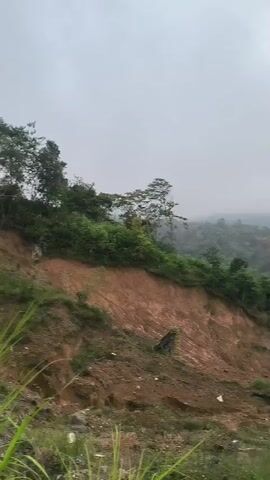 A white van drives down a poorly maintained dirt road. The road is eroded and bumpy, with visible signs of recent landslides on the side. Tall grass and trees are abundant in the surrounding environment. The sky is overcast and appears to be foggy, obscuring the visibility of the distant landscape. The van continues to move forward, navigating the rough terrain.