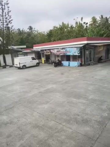 The video shows an outdoor scene in what appears to be a small, open-air market or service area. The ground is paved with concrete. In the background, there is a low building with a red roof and awnings. Several people are visible: a man in a blue shirt and light-colored cap walks across the concrete in the foreground, and another person sits near the building.

Several vehicles are present. A white van is parked to the left of the building. A motorcycle is parked in front of the building. A large truck, covered with a red tarp and loaded with lumber, is positioned prominently in the middle-right of the frame, with its back facing the camera. The truck is bright green and red.

Behind the building and the truck, there is lush vegetation, including palm trees, suggesting a tropical or subtropical location. A white wall with black and white patterned borders runs along the back of the property. The sky is overcast, indicating a cloudy day.

There is some visible text on a banner above the building's entrance, though it is partially obscured and difficult to read clearly. A sign is also visible on the side of the truck, but it is illegible. The overall atmosphere is relaxed and functional, suggesting a loading or unloading area or a stop for travelers. The presence of the market-like building and the truck loaded with goods implies some form of commercial activity or transportation hub. The location context of Sukaresik, Indonesia, further supports the impression of a tropical setting.