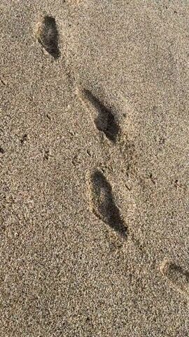 The video opens with a close-up shot of several footprints pressed into light brown, granular sand. The camera is positioned low, looking down at the sand. As the video progresses, the camera slowly pulls back and pans upwards, revealing a longer line of footprints stretching across the sandy beach. The footprints appear to be from a person walking. In the background, the ocean comes into view, with white-capped waves gently breaking on the shore. The water has a clear turquoise and blue-green hue. The sound of ocean waves crashing can be heard continuously throughout the video, creating an immersive beach atmosphere. The lighting suggests it is daytime. No people are visible, only their tracks in the sand and the natural beauty of the beach.