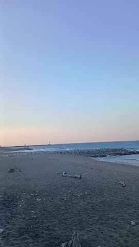The video shows a wide shot of a beach with dark sand under a light blue and pink sky. In the distance, there is a line of rocks in the water, and what appears to be a lighthouse. There are several pieces of driftwood scattered on the beach in the foreground. The sea is calm and waves are gently lapping at the shore.
