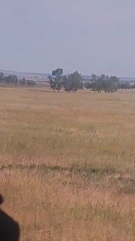 The video shows a wide shot of a dry, grassy field with scattered trees in the distance under a hazy sky. The camera appears to be moving, possibly from a vehicle, as indicated by the slightly blurred foreground which shows a dark, indistinct object, likely a part of the vehicle. The landscape is flat and appears to be rural. There are no people or discernible animals visible in the footage.