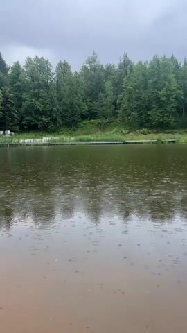 A video shows a lake with raindrops falling and creating ripples on the surface. The lake is surrounded by a dense forest of green trees. A wooden pier runs along the edge of the lake. The sky is overcast. The camera is positioned close to the water's edge, looking out over the lake. The footage is in natural light.