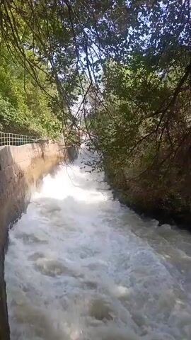 A fast-flowing canal with turbulent water is seen. The canal has concrete walls on the left and is bordered by lush green trees on both sides. Overhanging branches with leaves create a canopy effect. The water is white and foamy, indicating a rapid current. The scene appears to be outdoors on a bright day, with sunlight filtering through the trees. There are no people or animals visible in the video.