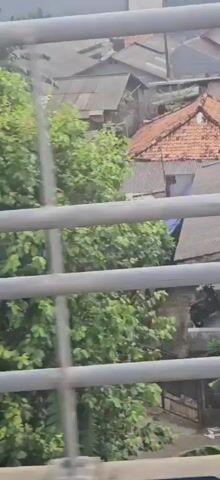 A view from a moving vehicle, likely a train or bus, looking out at an urban landscape with dense vegetation and buildings. The perspective is from behind a series of horizontal metal railings. The video begins with a view of lush green trees and banana plants. As the view moves, it transitions to show residential buildings with red-tiled roofs and concrete structures. The buildings appear somewhat aged and packed closely together. The scene suggests a developed area with a mix of natural elements and human habitation. The lighting indicates it is daytime.
