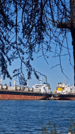 Cargo ship 'ODYSEAS' docked at port, viewed from the shore