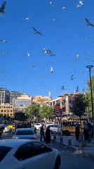 Crowds gather at sunny waterfront as seagulls fill clear skies