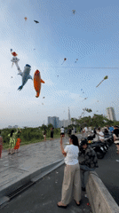 Kite festival draws crowds to Thủ Đức city park