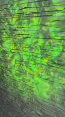 Moving green light patterns illuminate stone walls creating water-like effects