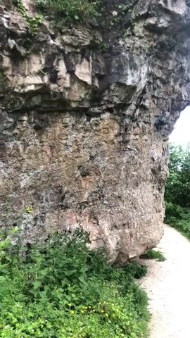 The video shows a path beside a large rock wall leading to a scenic view of a pond or lake surrounded by greenery and trees. The rock wall on the left is composed of multiple layers and textures. The path is light-colored and appears to be made of gravel or dirt. Lush green vegetation, including nettles and yellow wildflowers, grows along the base of the rock wall. The pond or lake is calm, reflecting the surrounding trees and sky. The opposite bank is covered with trees and grass, with some exposed rocky outcrops. The sky is overcast, providing soft, diffused lighting to the landscape.