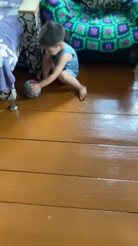 A young boy in a blue tank top and blue shorts plays with a multi-colored ball on a wooden floor. He is barefoot. To his left is a bed with a purple and white patterned blanket. To his right is a couch with a green and purple patterned throw. The boy bends down to pick up the ball, then stands and holds it. He then takes a few steps forward, holding the ball.