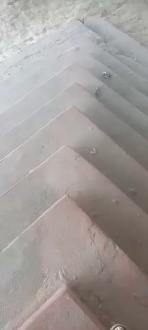A first-person perspective shot looks down a set of concrete stairs. The stairs are angled to the right and are somewhat dirty with a few small pieces of debris visible on them. In the top right of the frame, a small object, possibly a cigarette butt, sits on one of the steps. The environment appears to be outdoors or in a semi-exposed area, with a rough, textured wall visible at the top of the frame. The lighting suggests it is daytime.