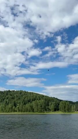 A bird flies across the screen in front of a blue sky with white clouds. The bird is dark with its wings spread. Below the bird is a green, tree-covered hill and a body of water. The water has a rocky shoreline. There are power lines crossing the sky.