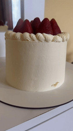 Ternopil resident documents morning cake and cats at home