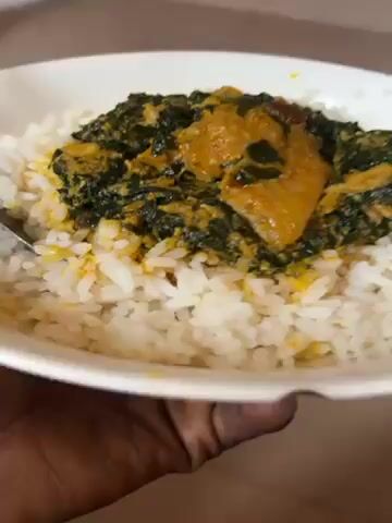 A white bowl filled with white rice topped with a spinach-based stew or sauce and a chunk of golden-brown protein is displayed. The bowl is held and slightly rotated, offering a full view of the dish. A silver spoon is placed alongside the bowl on the left. The background appears to be an interior space, possibly a kitchen, with a glimpse of a blue trash can and a closed white door.