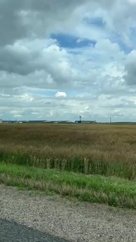 The video shows a wide shot of a rural landscape under a cloudy sky. In the foreground, there is a dirt road and some green grass. The middle ground is dominated by a large field of dry, golden grass that stretches to the horizon. In the distance, several buildings, possibly industrial or agricultural, are visible, along with a tall, slender tower that resembles a wind turbine or a communication tower. The sky is filled with large, white cumulus clouds, with patches of blue sky showing through. The overall impression is one of an open, possibly agricultural or industrial area in a rural setting. There are no people or animals visible in the video.