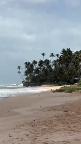 The video shows a tropical beach with a cloudy sky. The sand is light brown and appears wet near the water's edge. The ocean has moderate waves breaking on the shore, creating white foam. A line of palm trees is visible along the coast, with some trees leaning over the beach. A few small figures, possibly people, can be seen walking on the beach and in the water. The overall environment suggests a humid and possibly windy day.