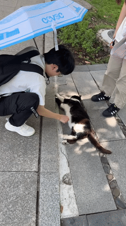 Morning life snapshots captured across Jiangjin, China