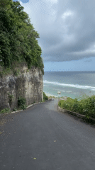 Morning beach life and wildlife activity in Kuta Selatan