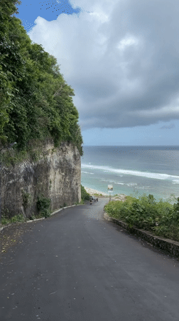 Morning beach life and wildlife activity in Kuta Selatan